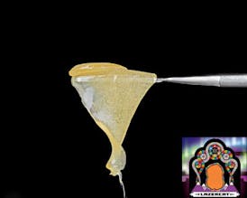 Lazercat Premo Live Rosin 1g - Hawaiian Tangerine