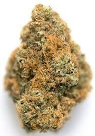 Bam Bam I/H - Top Shelf