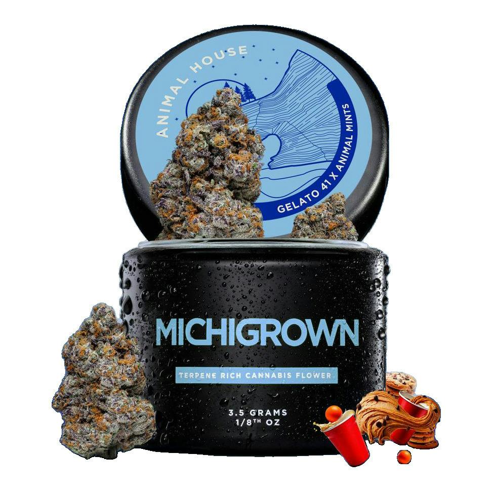 Michigrown | Bulk Flower | Rainbow Belts