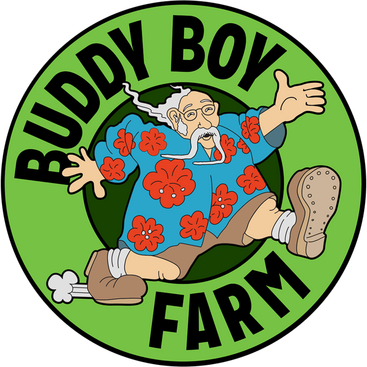 Buddy Boy | GMO Flower Jar | 4g at The Bake Shop (Union Gap)