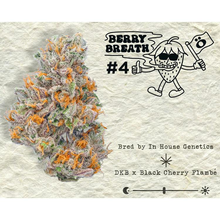 Skord | Berry Breath #4 Reserve Flower | 03.5g