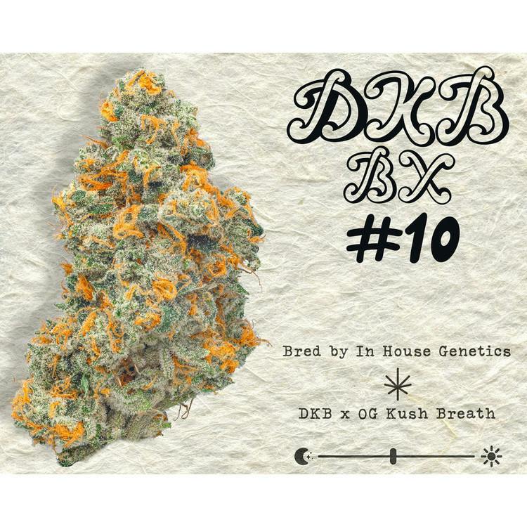 Skord | DKB BX #10 Reserve Flower | 03.5g