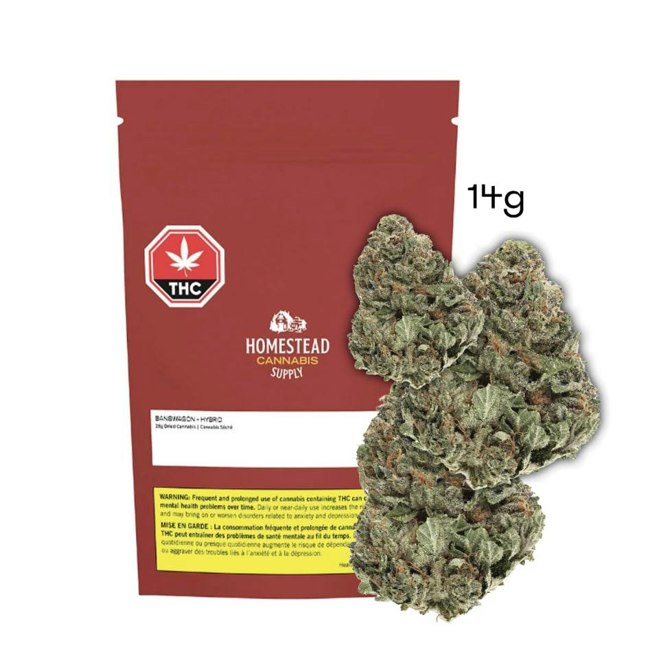 Bandwagon (Lemon Diesel) 28g by Homestead