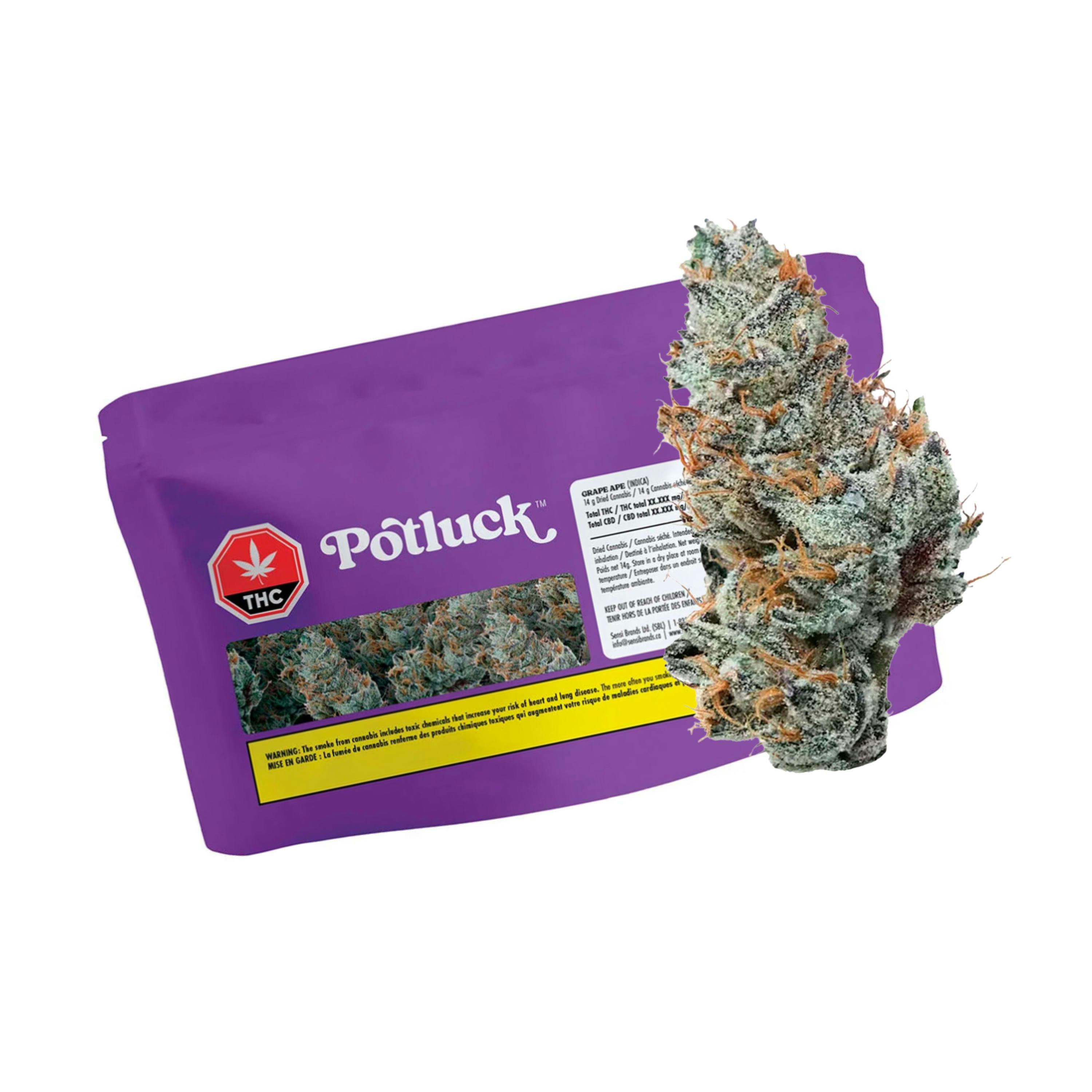 Grape Ape 14g Dried Flower by Potluck