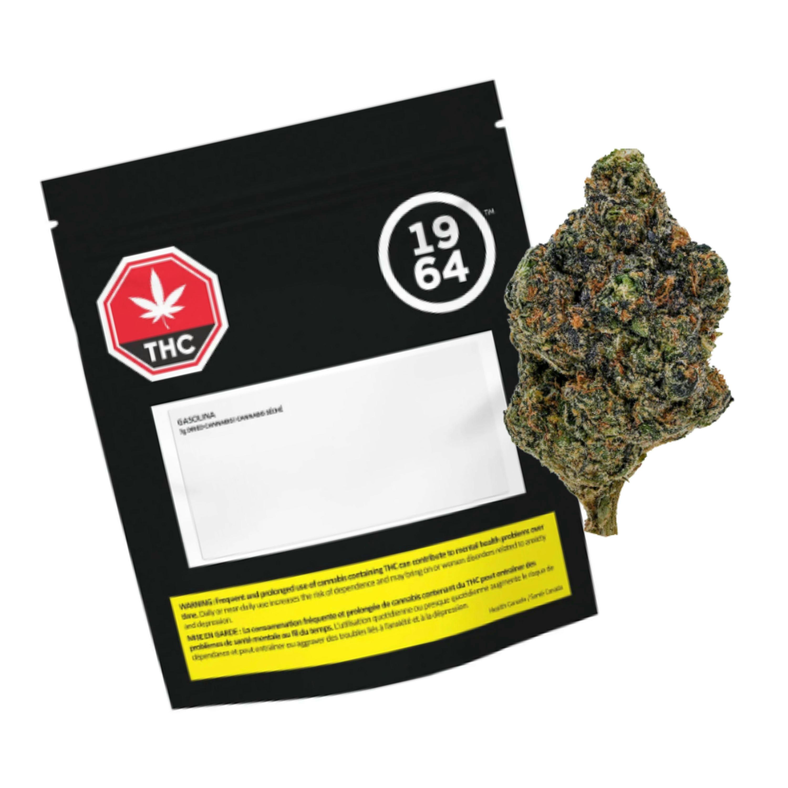 Gasolina 7g Dried Flower by 1964