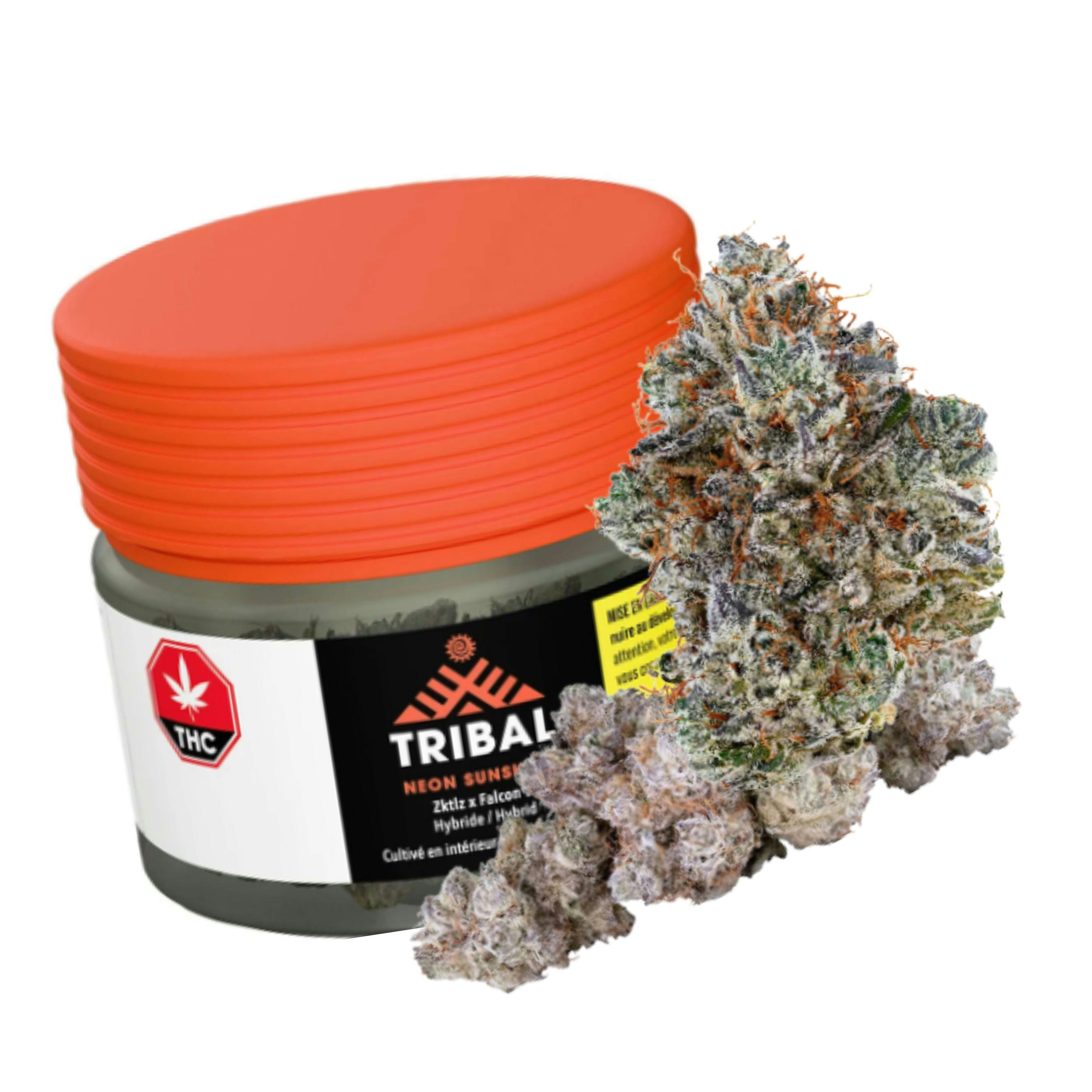 Neon Sunshine 14g by Tribal