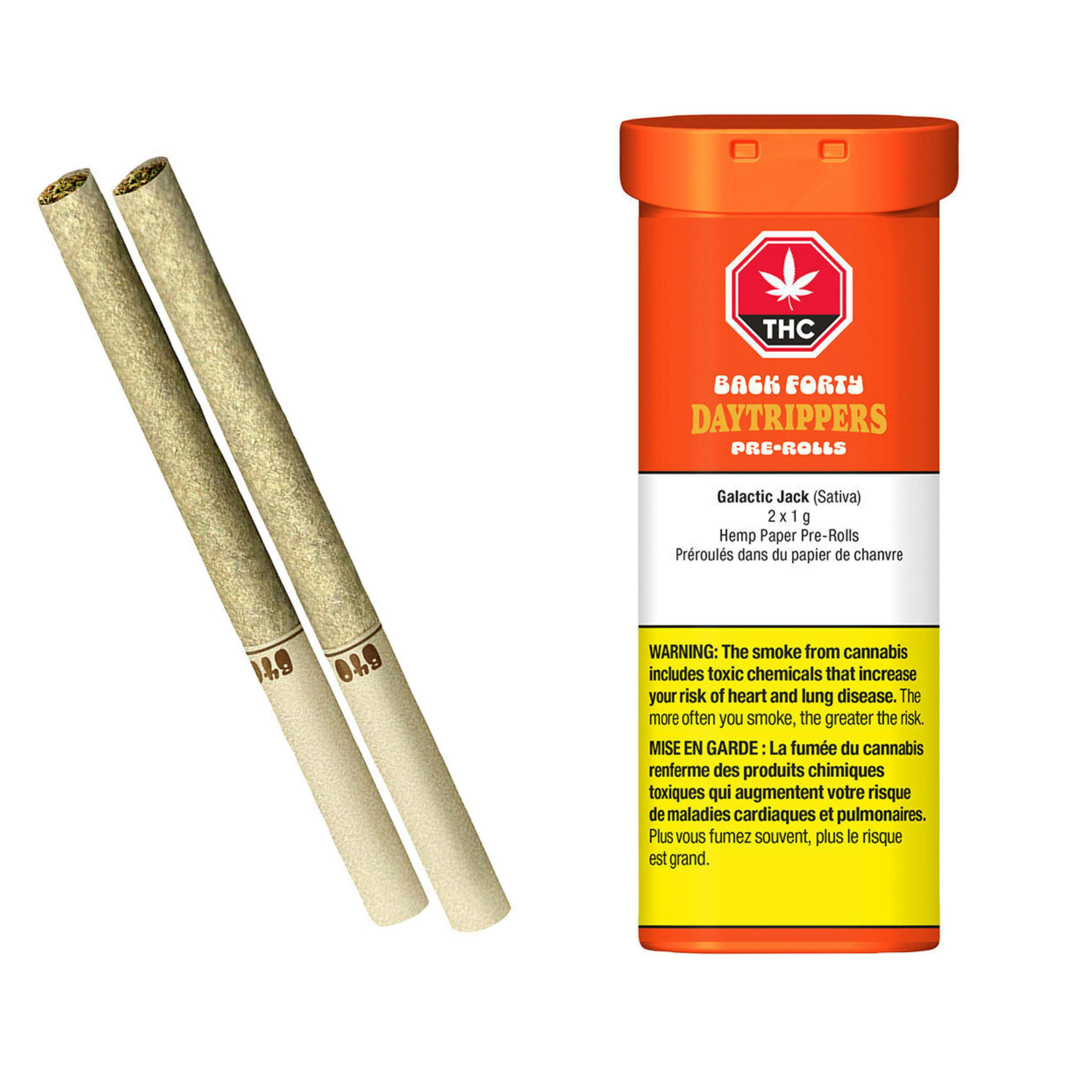 Daytrippers Pre-Rolls - Galactic Jack 2x1g [Back Forty]