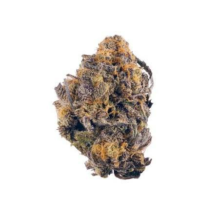 Purple Tangerine