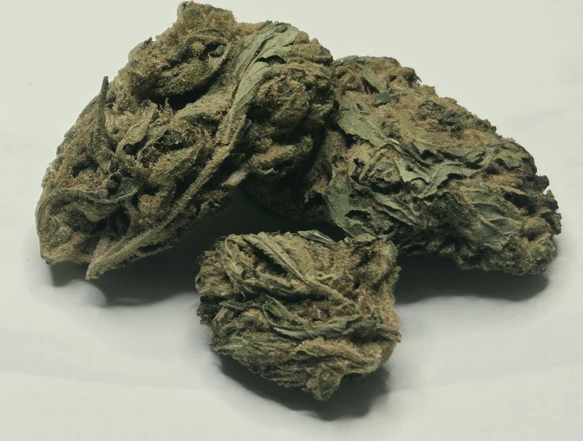 SFV OG | Vandalia Organics | Bulk Flower | at Dealz Cannabis Collective