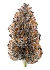 Super Buff Cherry | A Buds | Trap House cannabis product