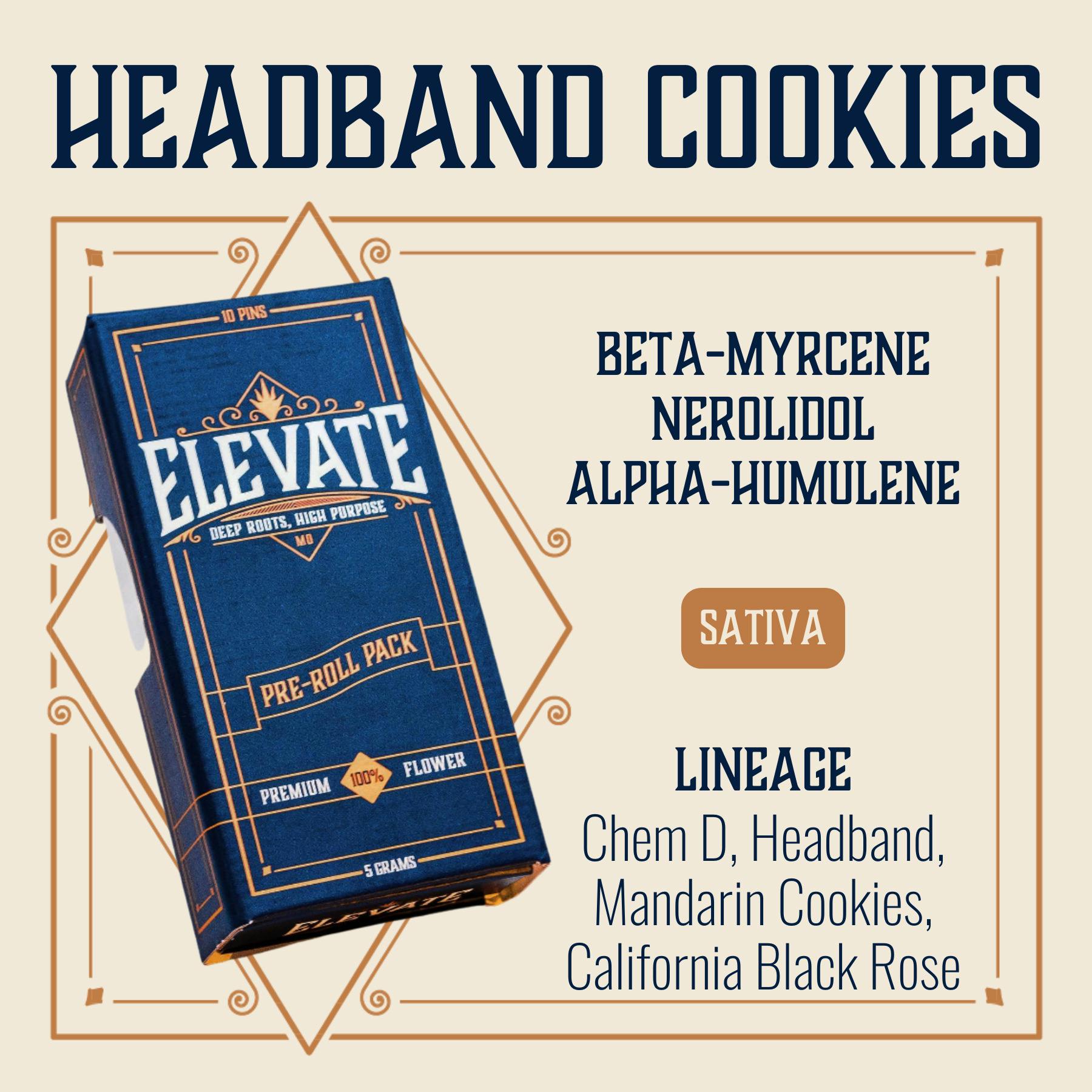 Headband Cookies Pre-Roll Pack 5g (0.5g ea | 10-Pack)