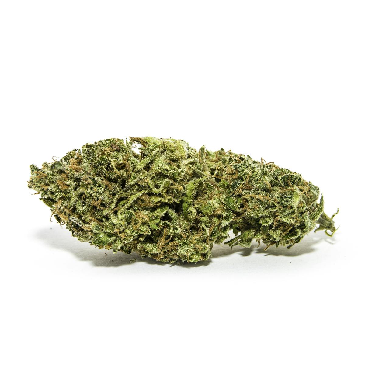 Jackee Robinson Flower: 1G (S) at All Greens Dispensary