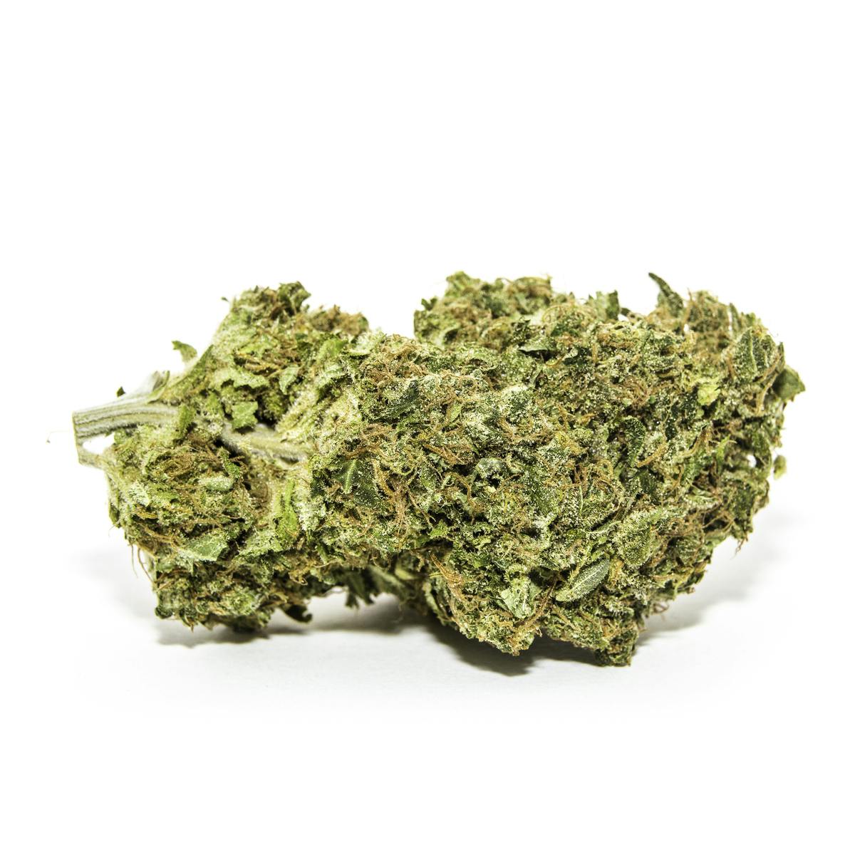 Jackee Robinson Flower: 3.5G (S)