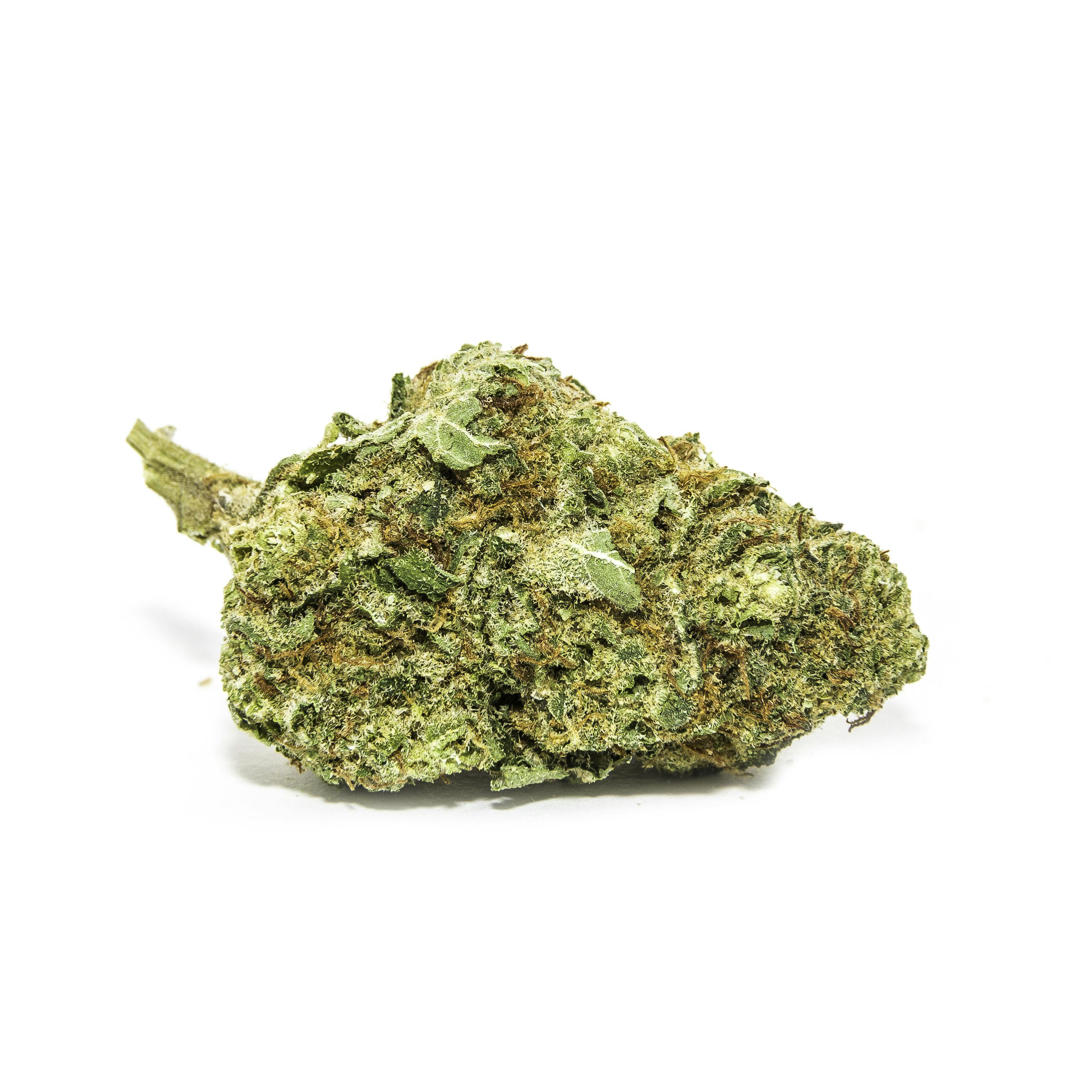 Peyote WiFi Flower: 1g (I) at All Greens Dispensary
