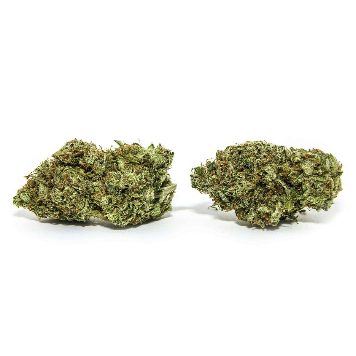 Peyote WiFi Flower: 3.5g (I)