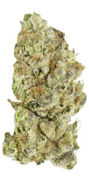 Platinum Pave - 7g