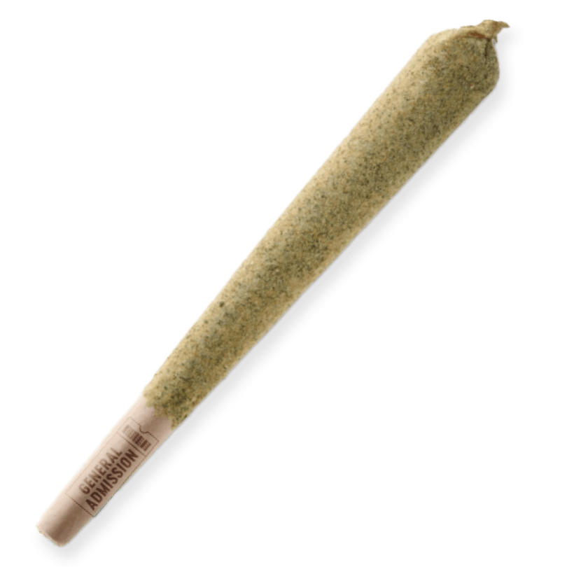 Peach Rizz Infused Pre-Roll - 1x1g