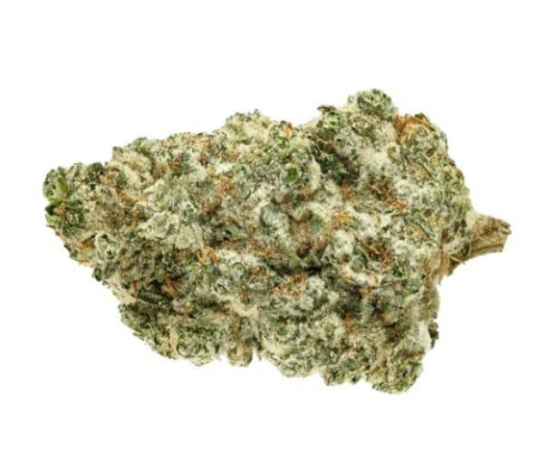Kush God - 28g