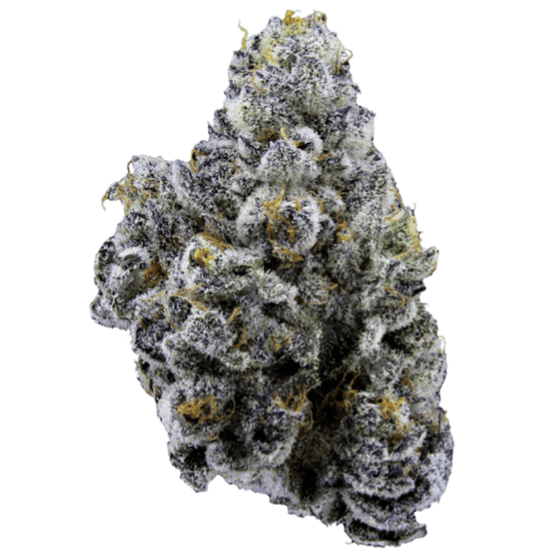 Limelight Petites - 3.5g