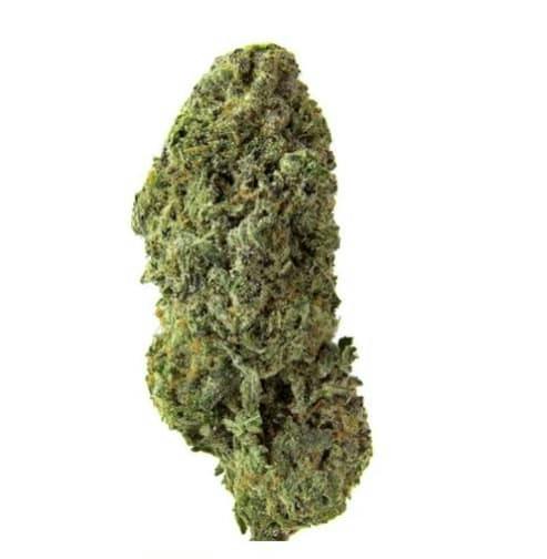 Bandwagon Sativa (Rotating Strain) - 7g