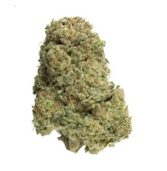 Bandwagon Indica (Rotating Strain) - 7g