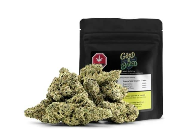 Moby Dick - 14g