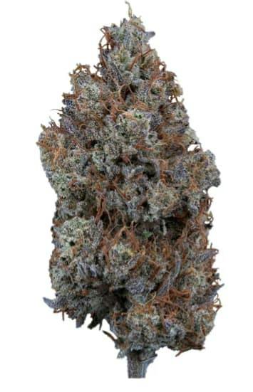 Mystic Mountain 1.5:1 - 3.5g