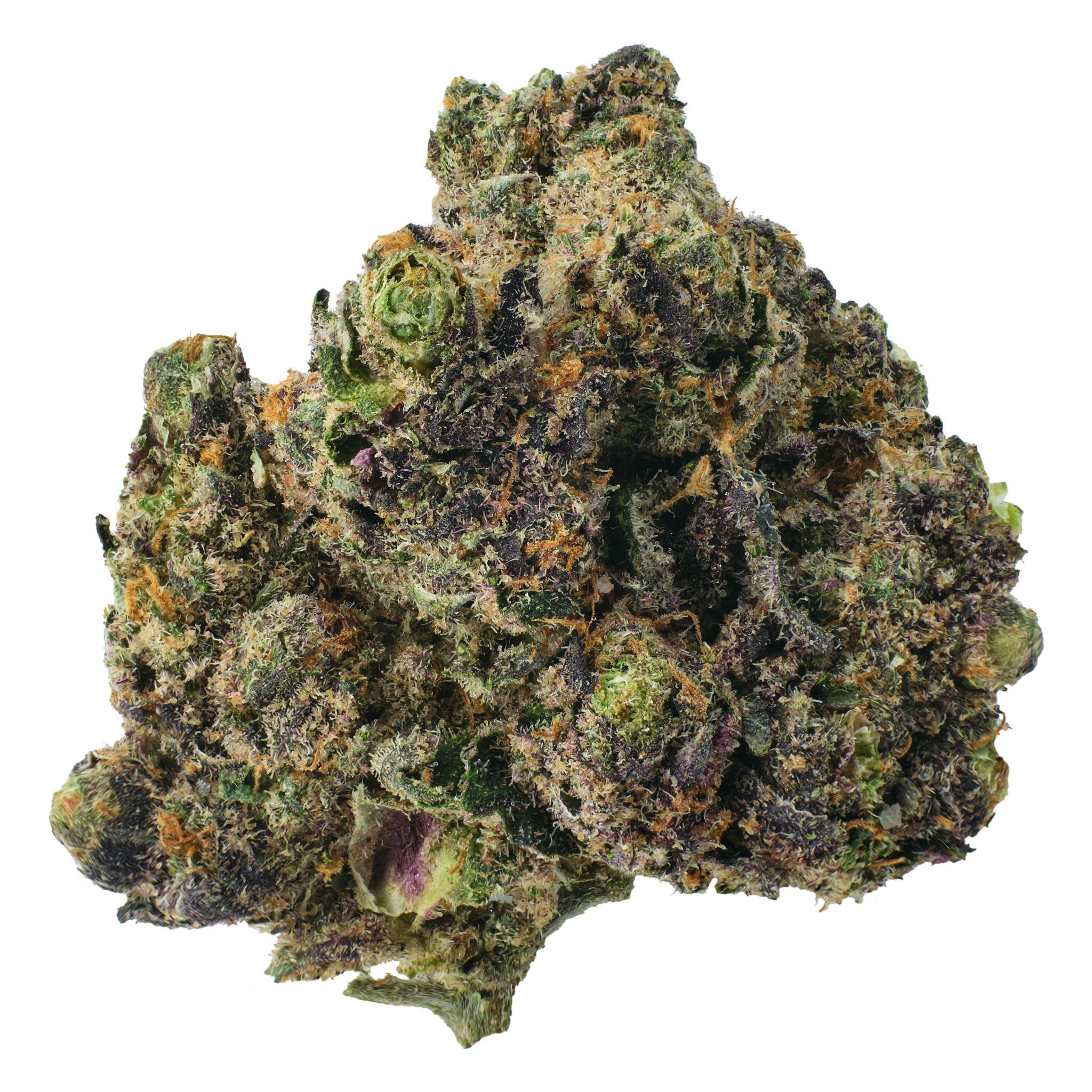 Sunset Sherbet x Mike Larry
