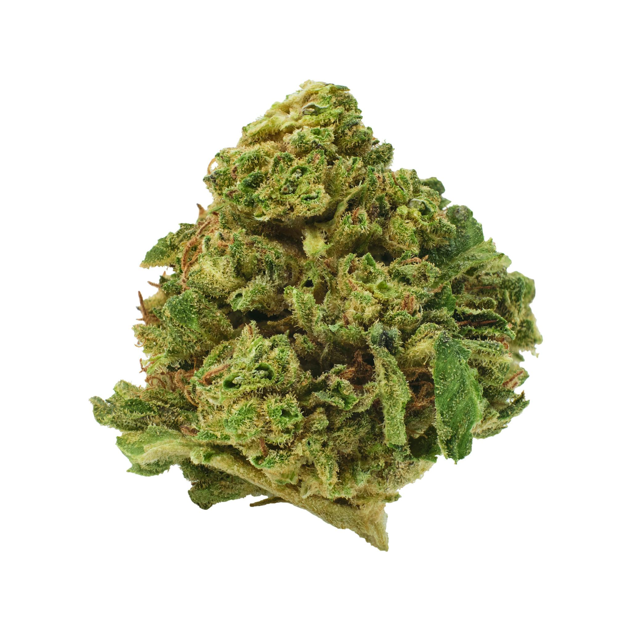 Mauis Gift Outdoor cannabis product