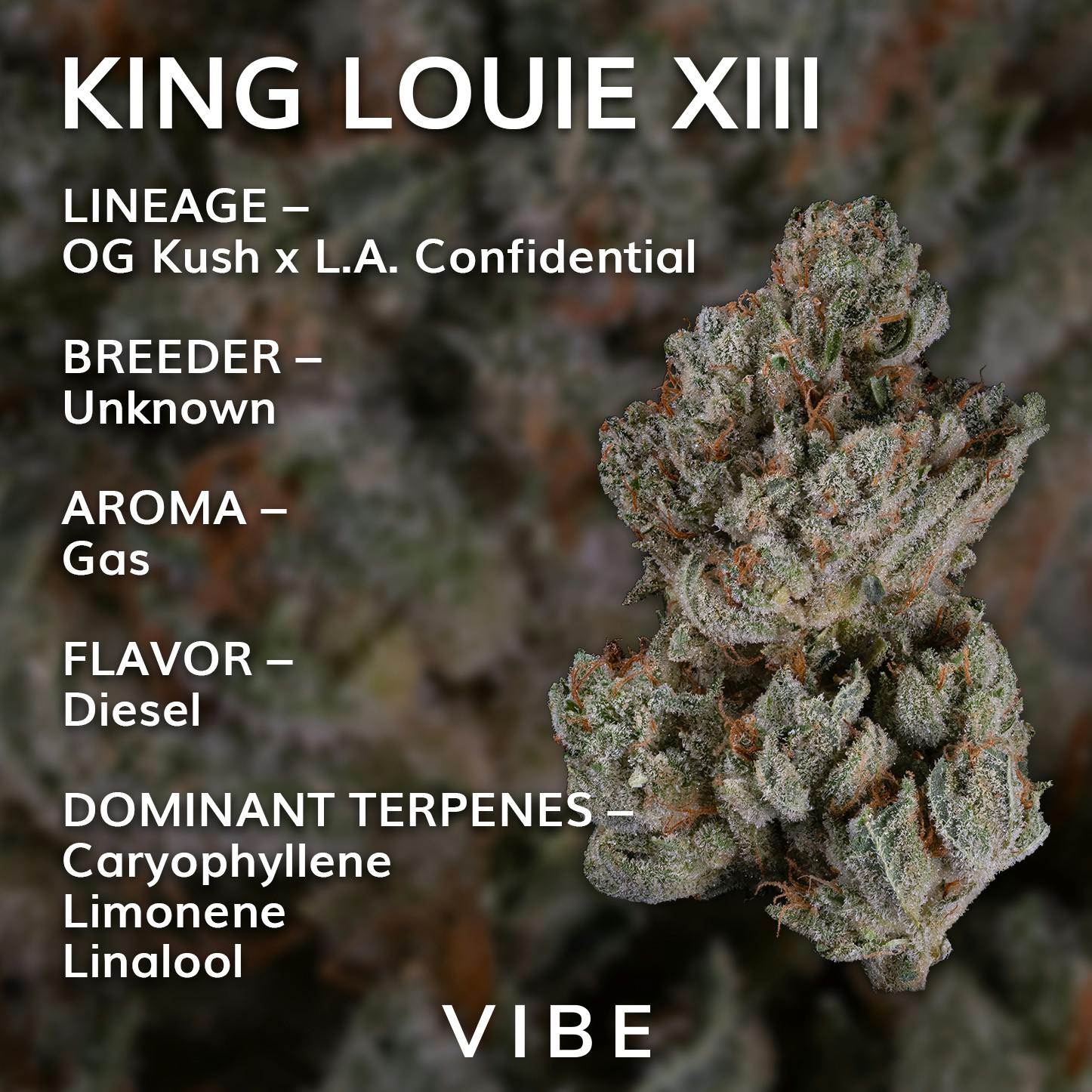 King Louie XIII | Deli