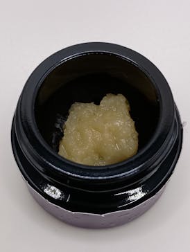 Blackberry Fizz - 1G Live Rosin - The Papermill
