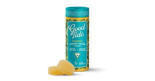 Good Tide - Pineapple - 100MG Edible