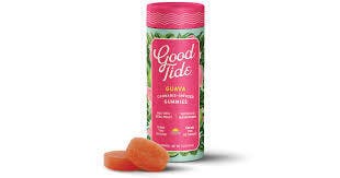 Good Tide - Guava - 100MG Edible
