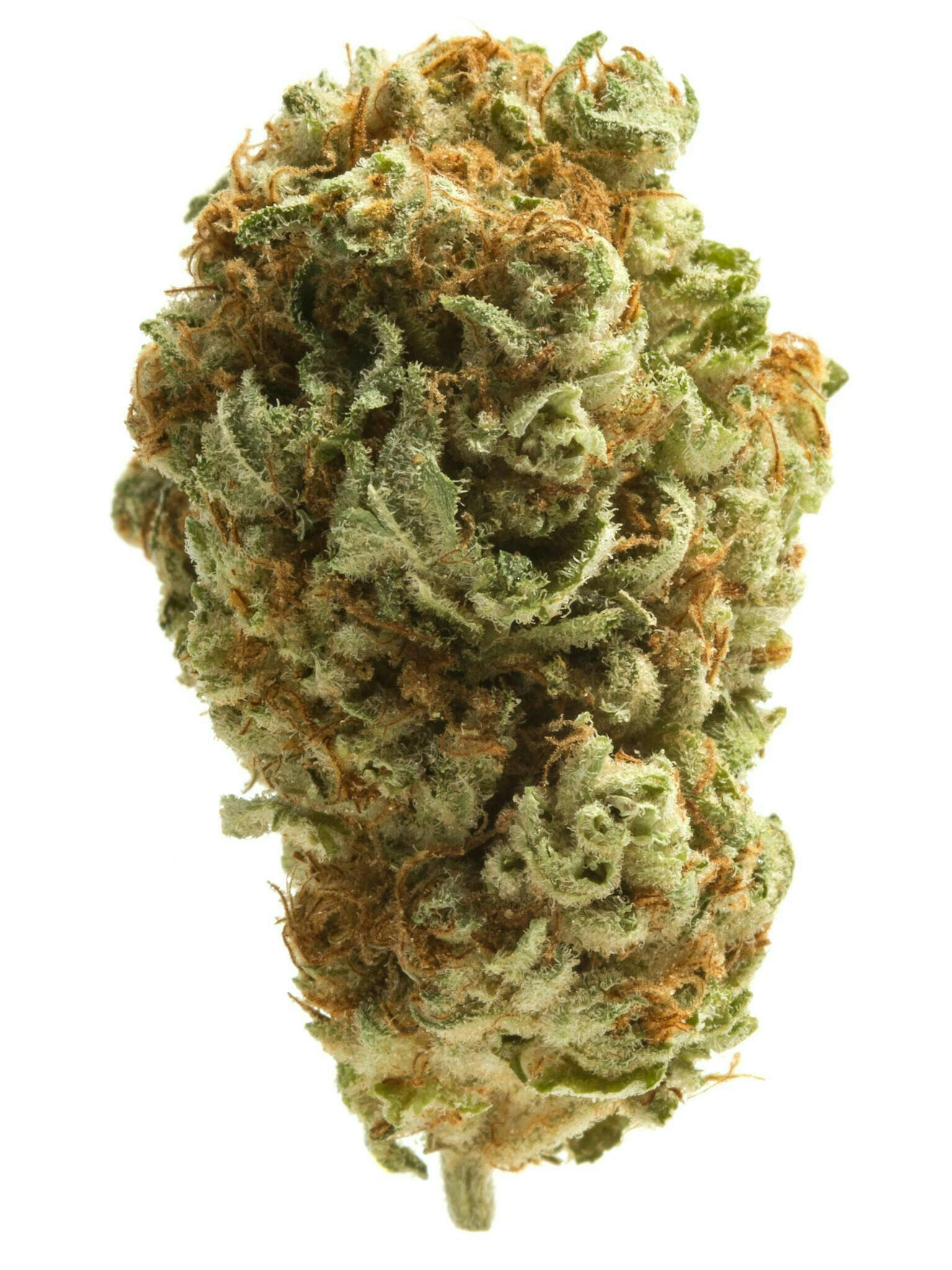 Feelz - Jelly Donut - 2G Bud