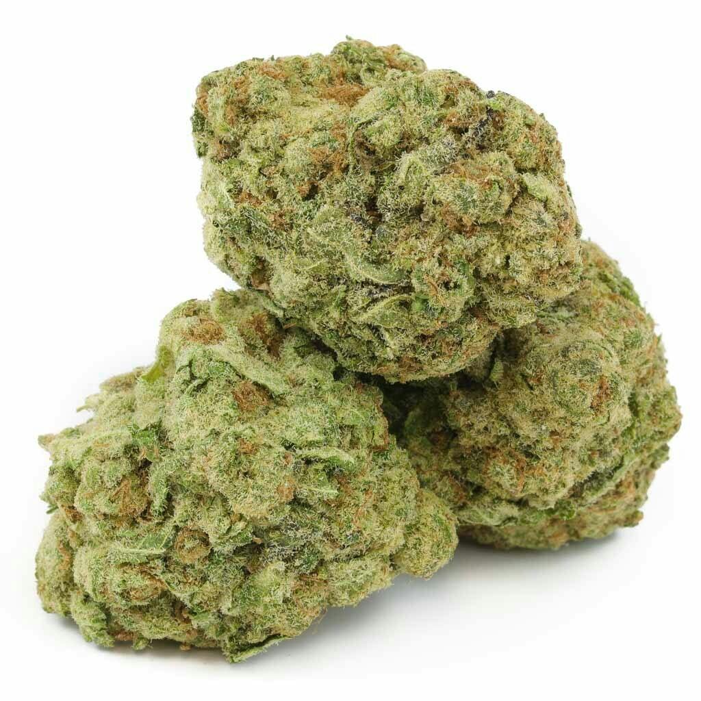 Hytek | Bulk Flower | Versace