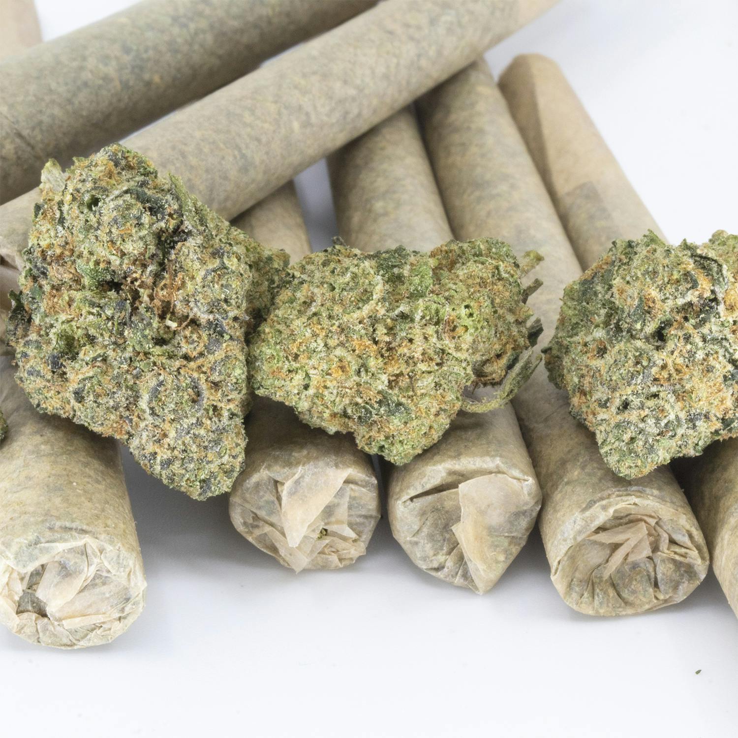 Animal Mint Cake | Bulk Flower | REC