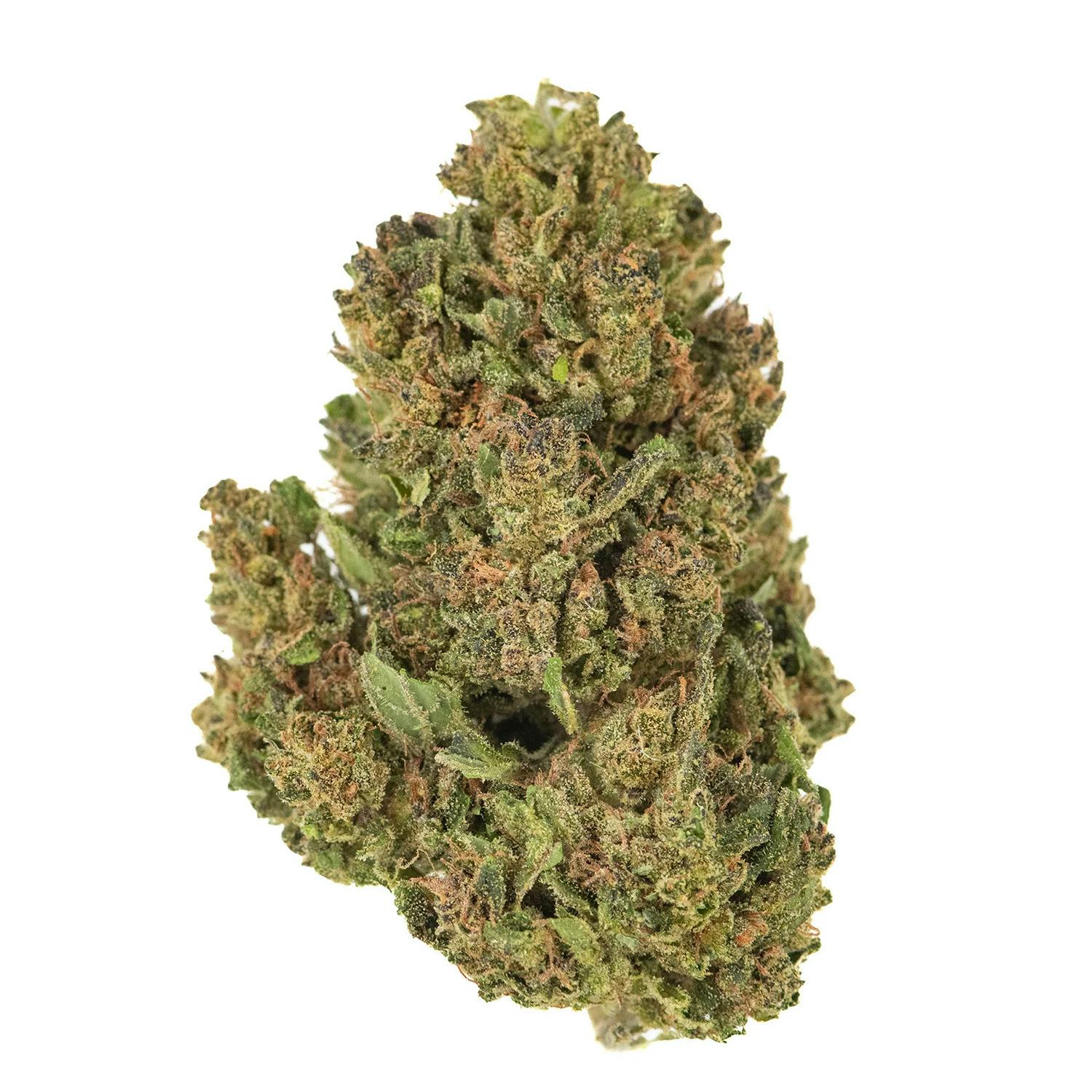 Vibe | 28g Prepack Flower | Glitter Bomb