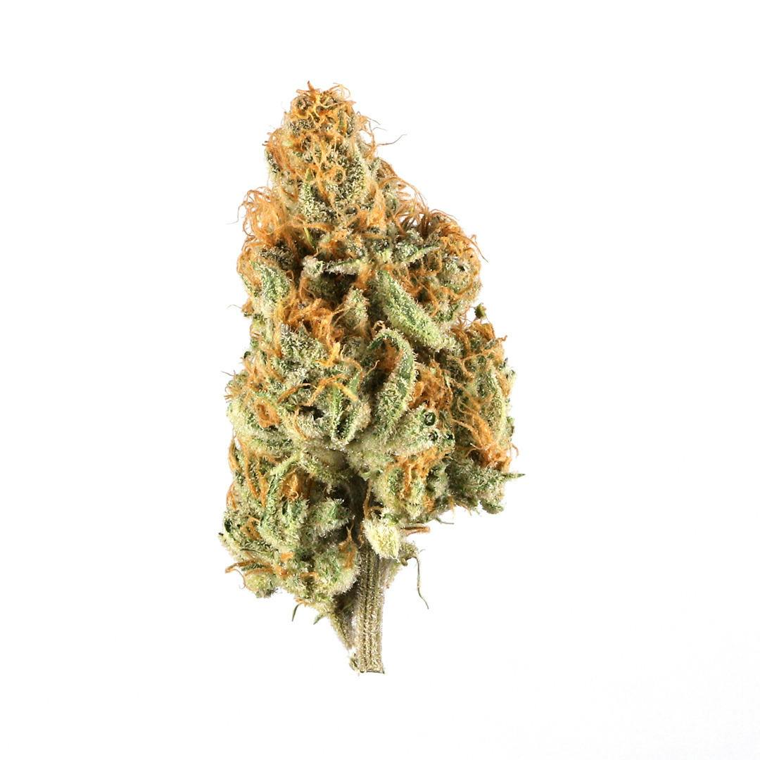 Candy Cartel | Bulk Popcorn | REC