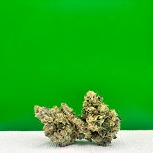 DMC (Gluetini x Supa Sour) by Dakota Natural Growers | Hybrid at Dakota Health and Wellness