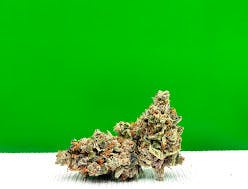 Paradise Pine by Bad River Cannabis | Hybrid at Dakota Health and Wellness
