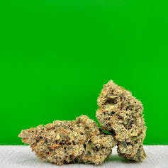 Blackberry Kush by Dakota Green | Indica