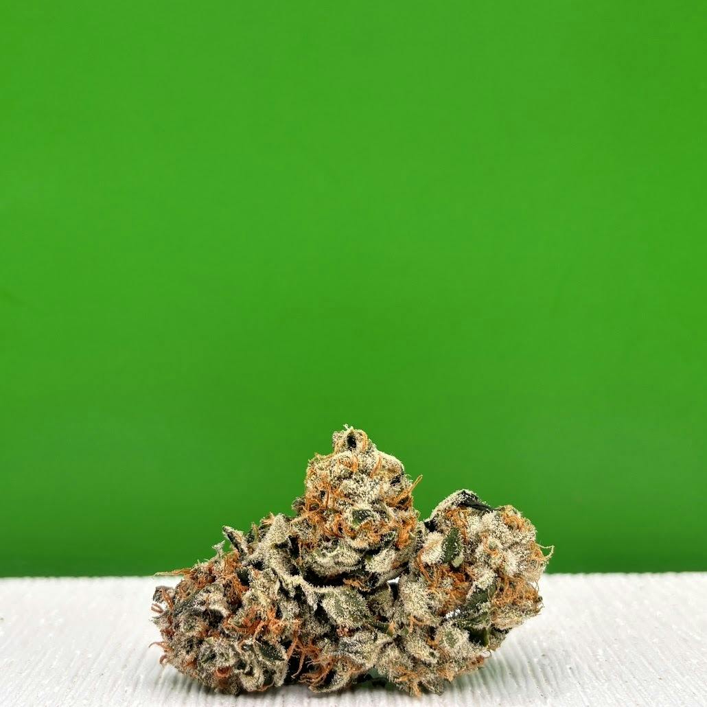 George Clinton by DNG | Hybrid at Dakota Health and Wellness