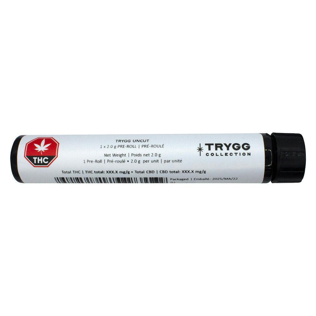TRYGG - Uncut Pre-Roll - Hybrid - 1x2g