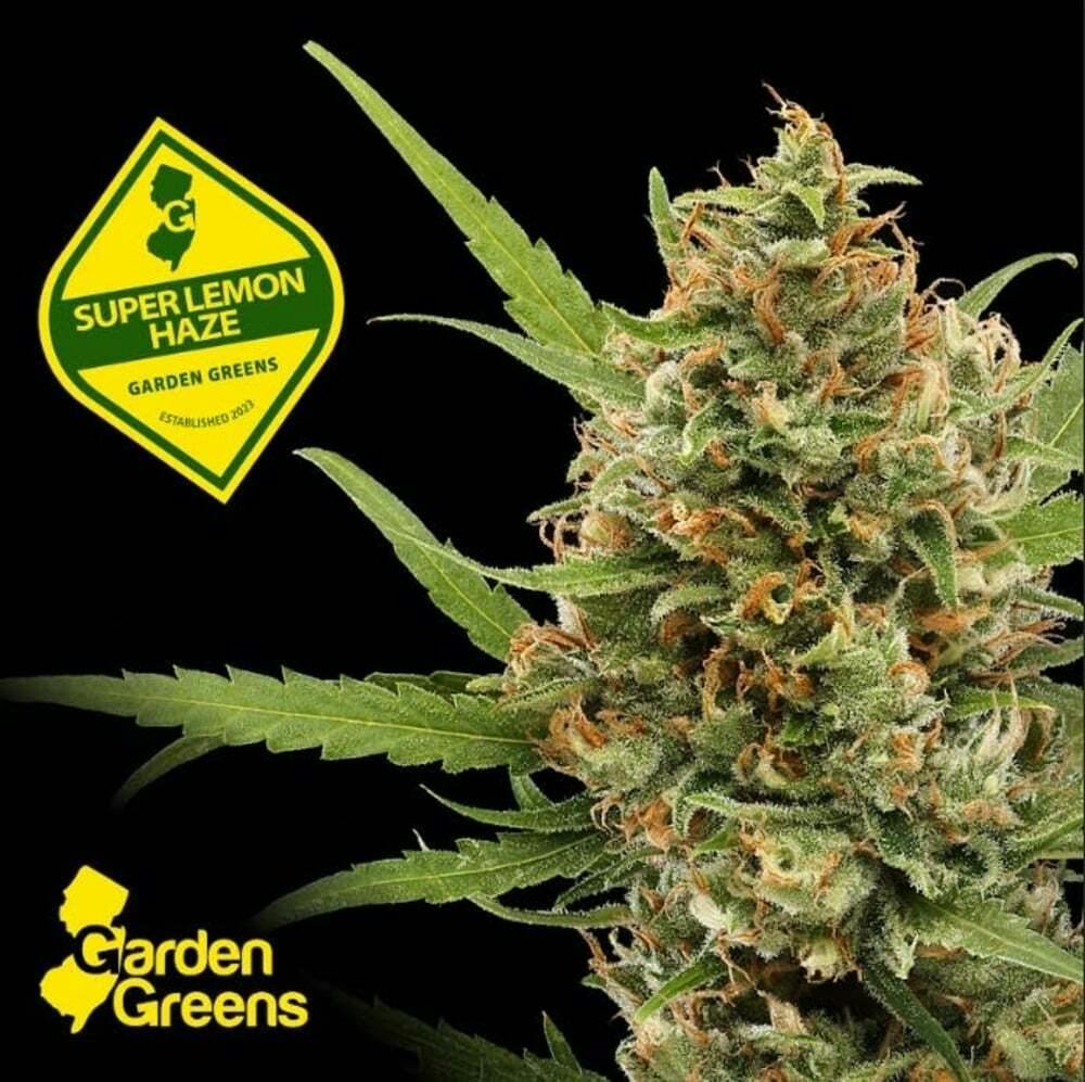 Garden Greens Super Lemon Haze 3.5g Flower