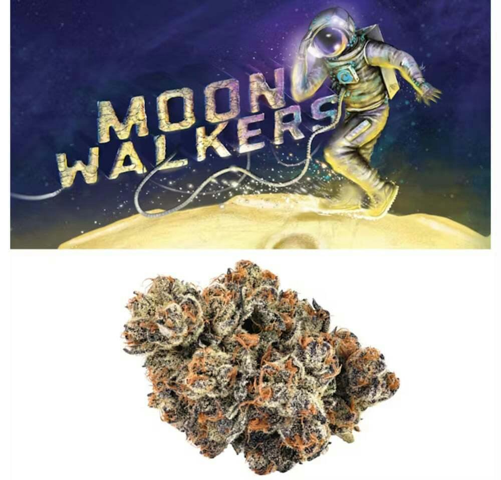 Cookies Moonwalkers 14g Flower
