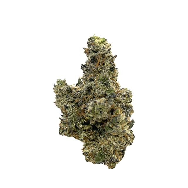 TRAPPER'S CHOICE | YING YANG | 3.5G