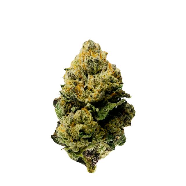 GREENCO | QUEEN OF THE SOUTH | DELI