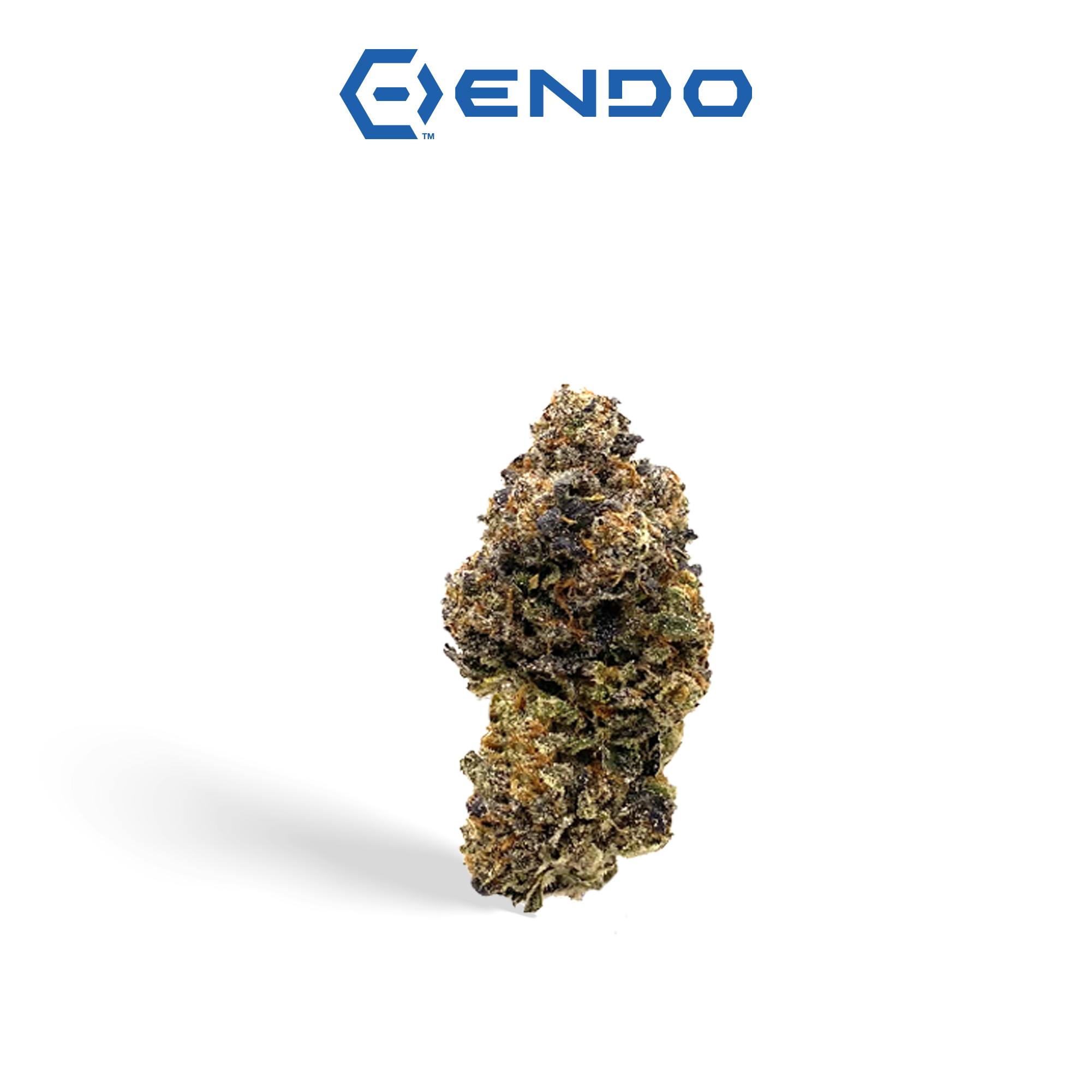 ENDO | SOUTH BEACH | 14G