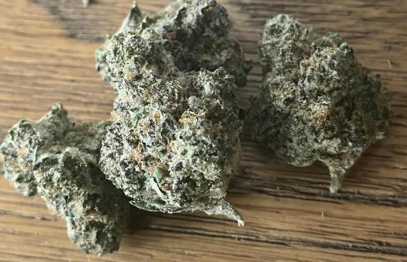 Gold Shelf - Zeetah Pizz (H)