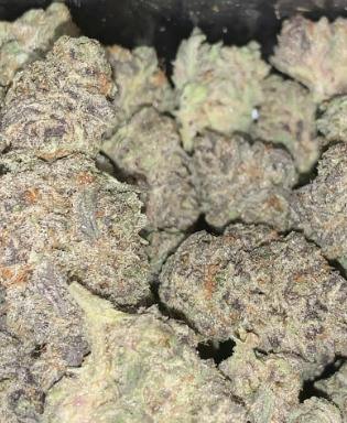 Gold Shelf - White Apple Runtz (H)